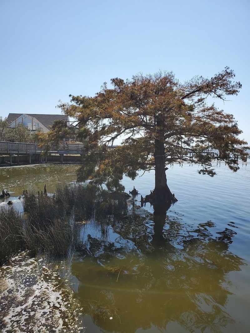 Duck, Dare County, Northern Outer Banks