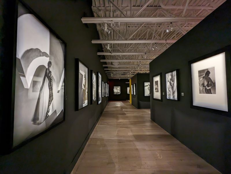 Bistro-Style Dining at Cafe des Artistes