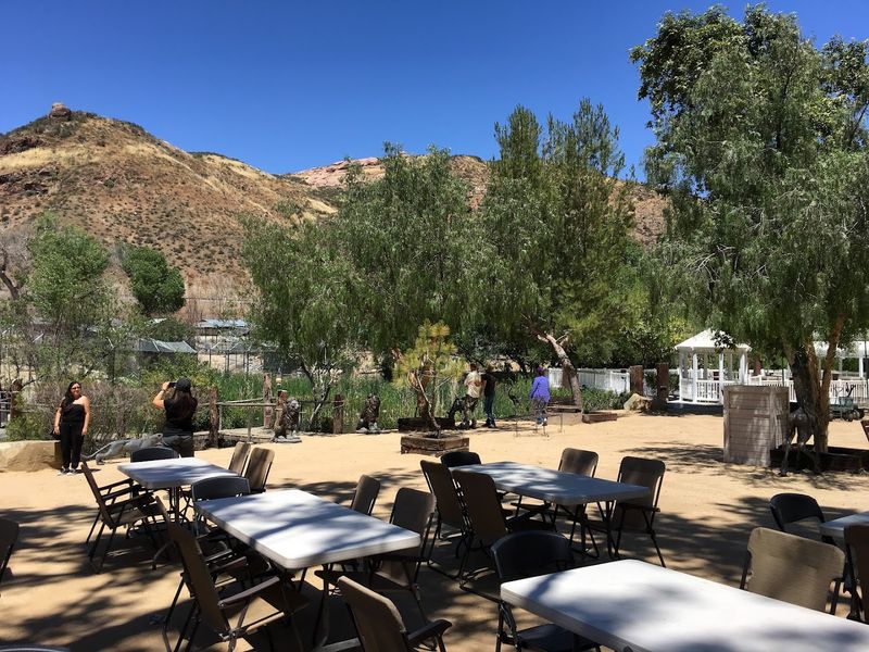 High Desert Sanctuary Setting