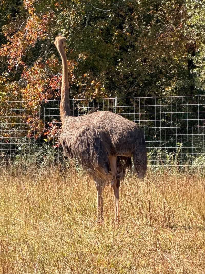 Seasonal Promotions and Special Offers