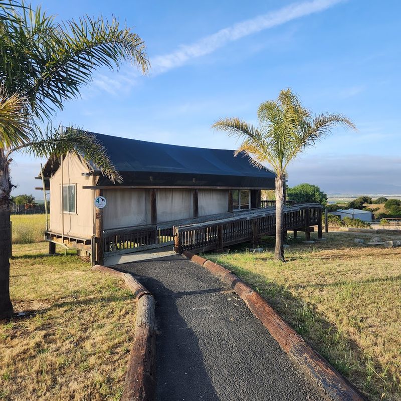 Spring At This Private California Wildlife Sanctuary Means Waking Up With Lions, Rhinos, And Zebras - Decor Hint Safari-Style Bungalows That Put You Right In The Action