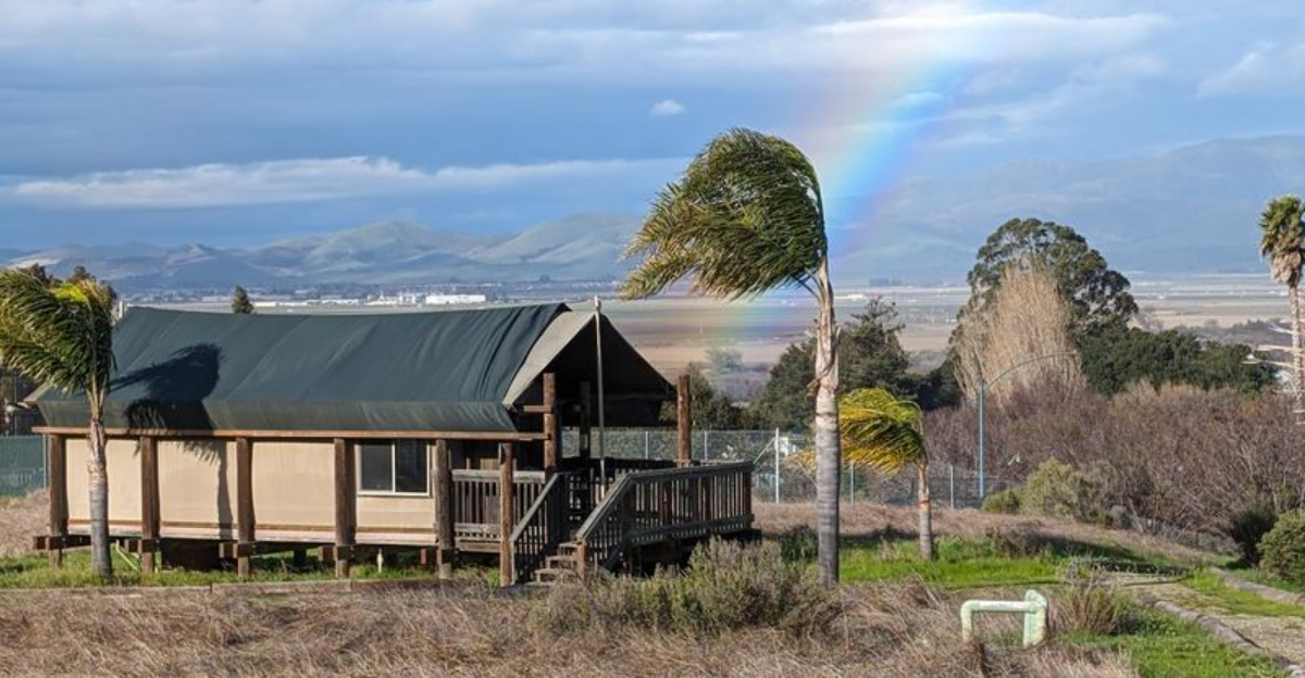 Spring At This Private California Wildlife Sanctuary Means Waking Up With Lions Rhinos And Zebras - Decor Hint