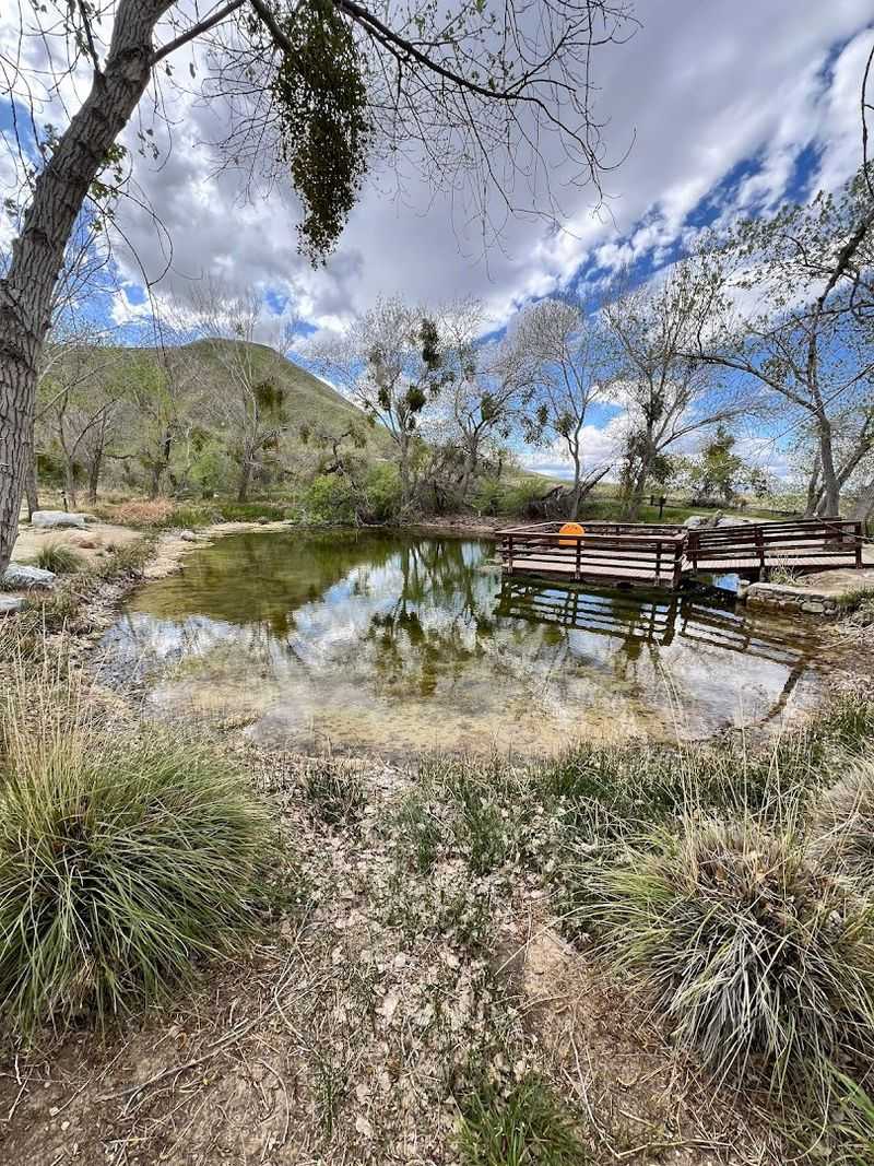 Visitor Amenities That Make The Experience Comfortable