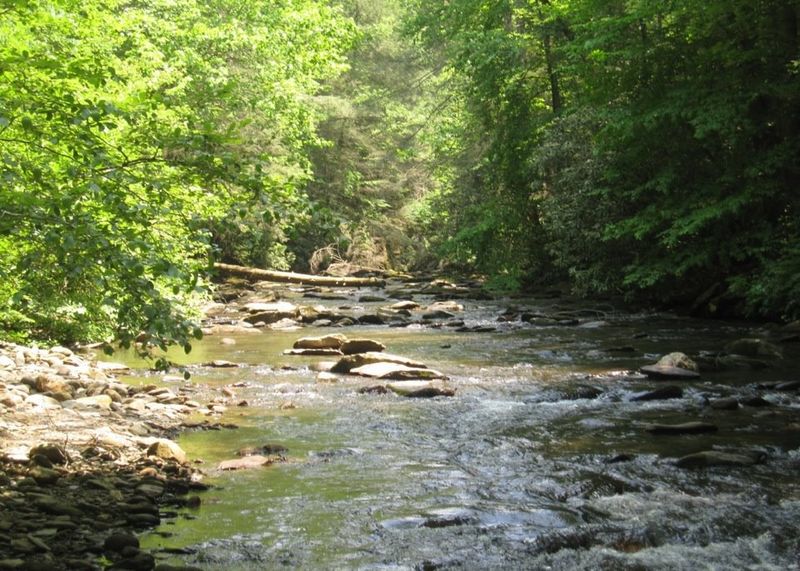 Cohutta Wilderness – Jacks River Trail