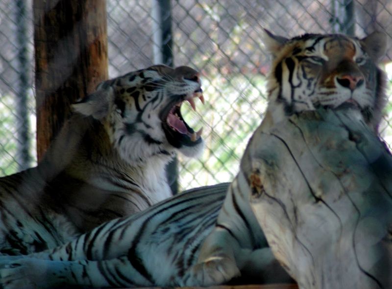 Educational Mission And Impact