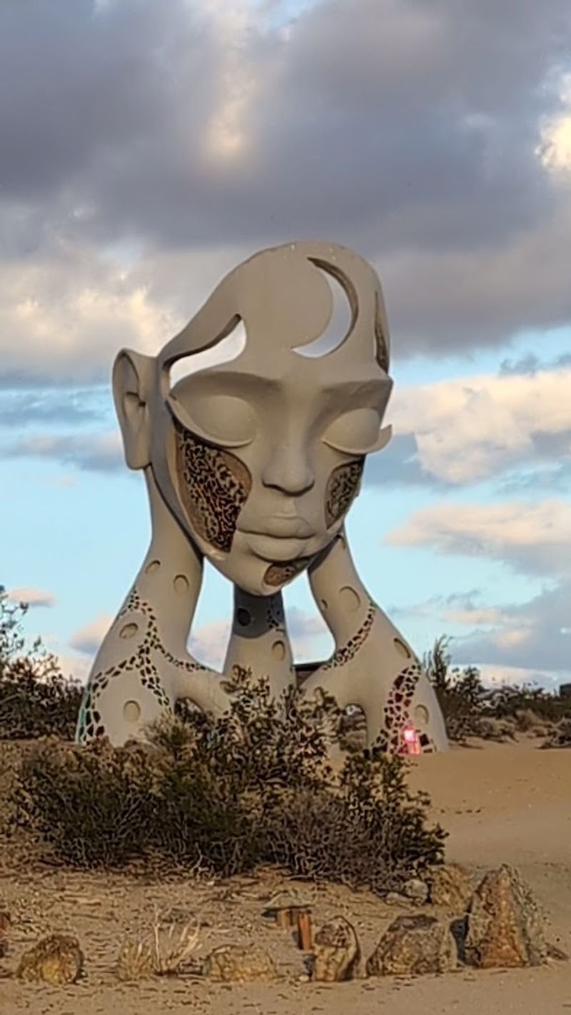 The Artist Behind The Vision: Who Is Daniel Popper?