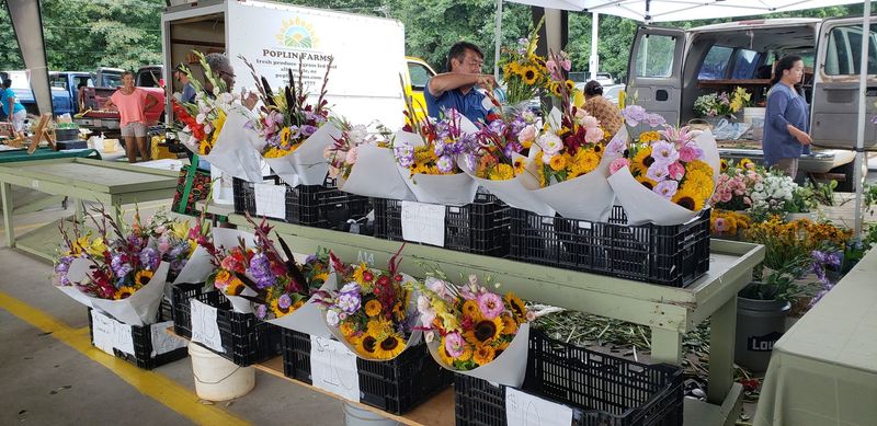 15 Best Flea And Street Markets In North Carolina To Visit In 2026 - Decor Hint Charlotte Regional Farmers Market