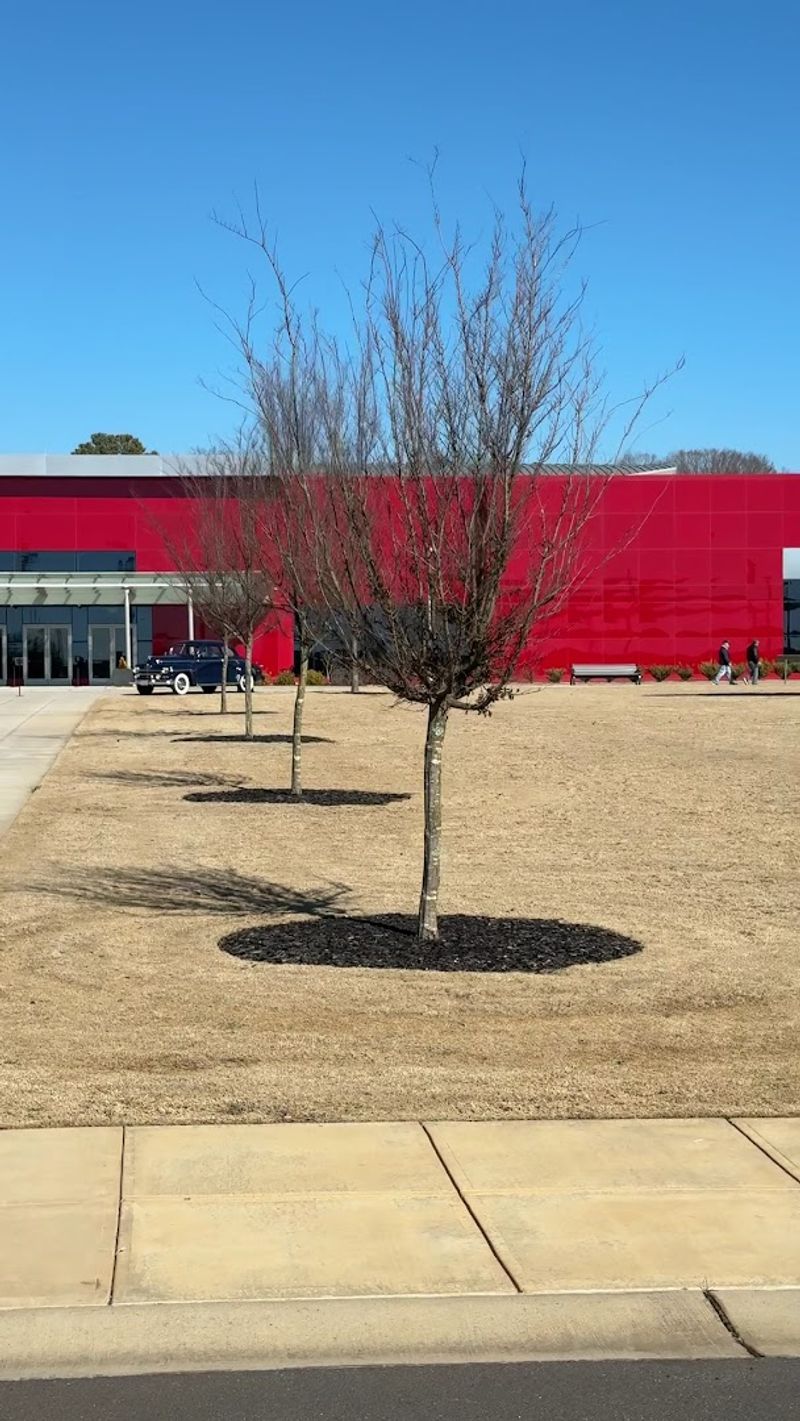 Full Wheelchair Accessibility With On-Site Wheelchairs Available