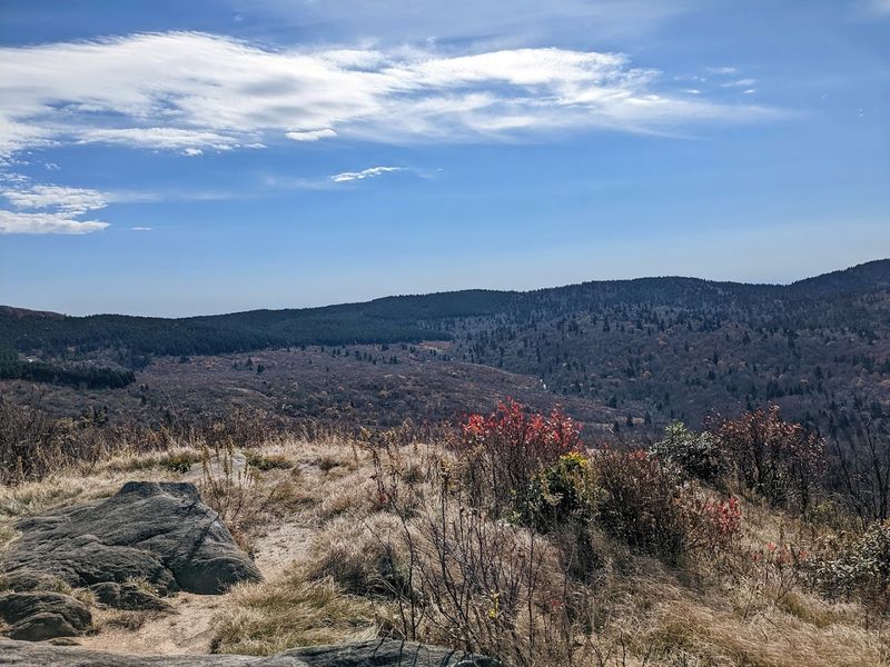 Sam Knob Trail, Black Balsam Knob