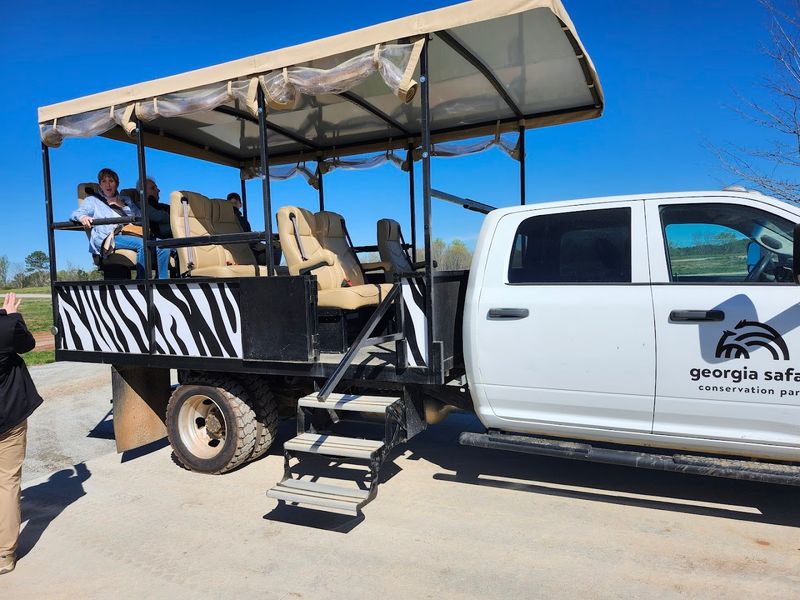 Family-Friendly Activities for Every Age Group