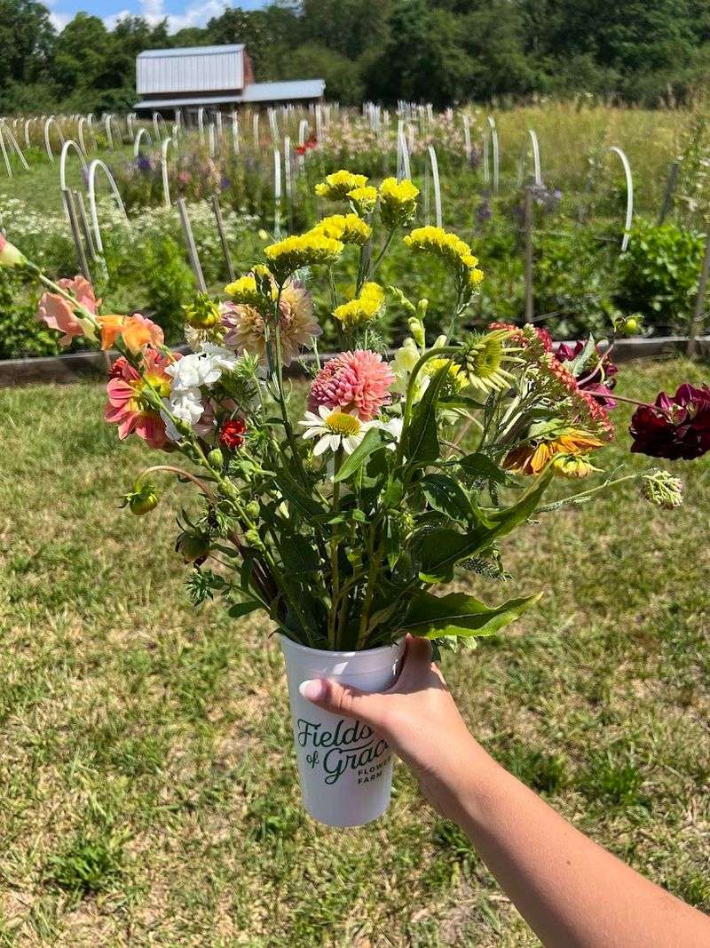 You-Pick Flower Experience Worth Every Petal