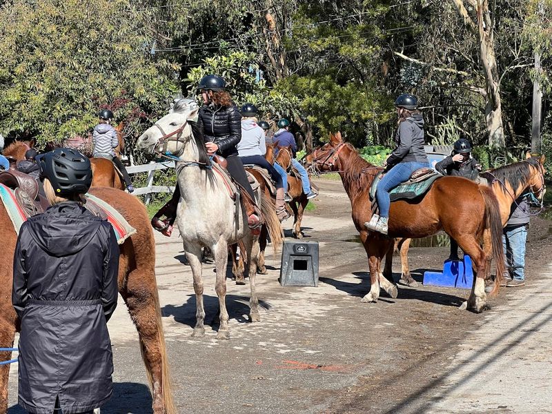 What To Expect Before You Saddle Up