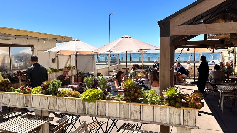 The Patio Is Pet-Friendly And Spacious