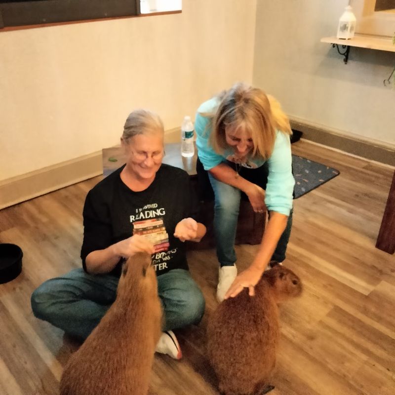 Private Booking Options for Small Groups