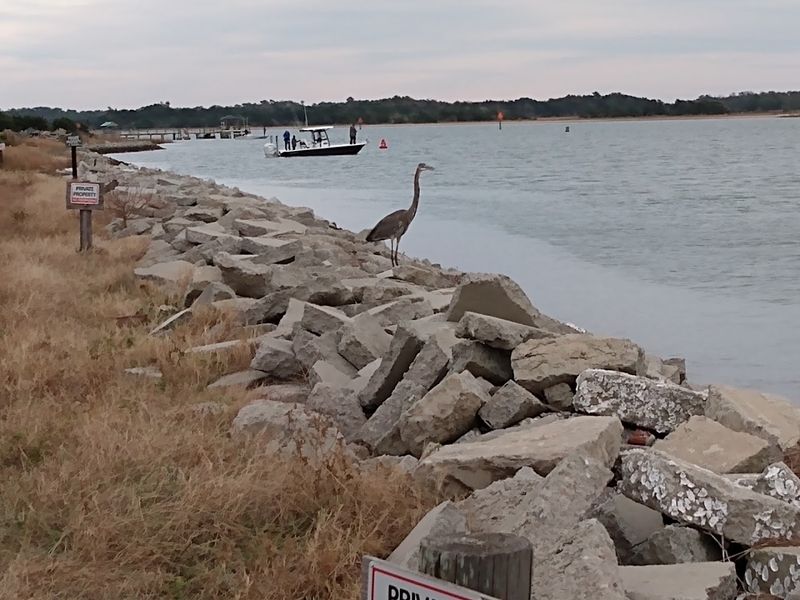 13 North Carolina Beach Towns Locals Say Are The Best On The Coast - Decor Hint Holden Beach