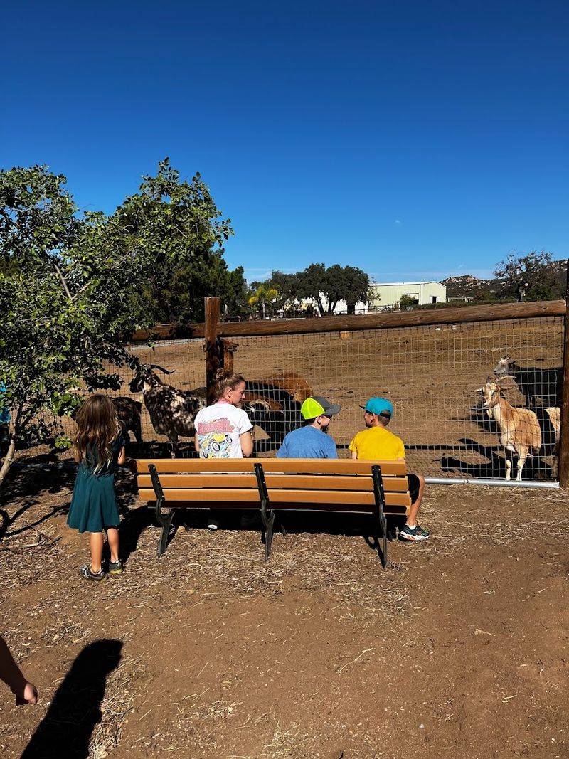 Discover This Alpine, California Petting Zoo That's Creating Big Family Memories - Decor Hint Educational Programs That Reached Nearly 3,000 Students In 2023