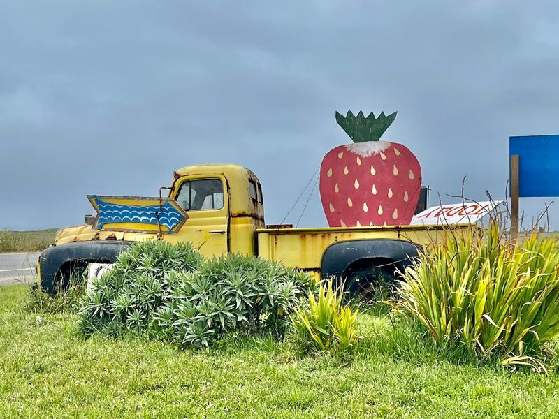 Community Presence At Local Farmers Markets