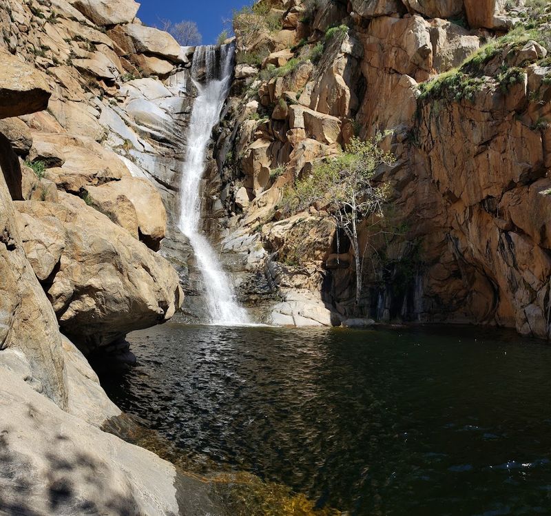 Cedar Creek Falls Trail