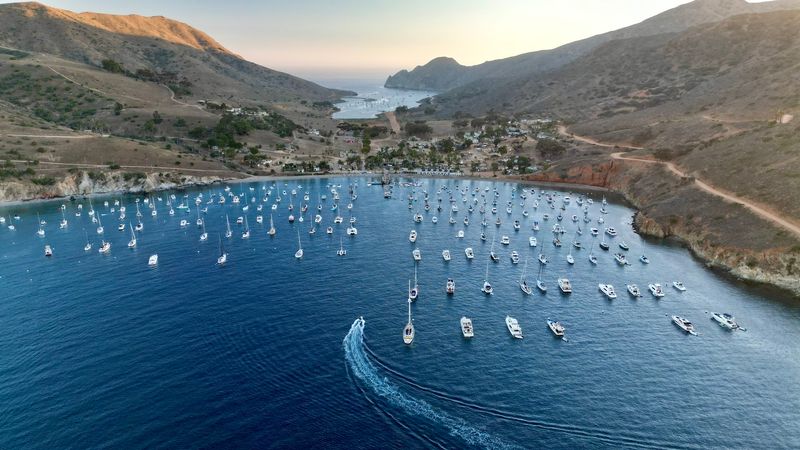 The Charming California Island Where Private Cars Are All But Banned - Decor Hint No Car Rentals Available On The Island