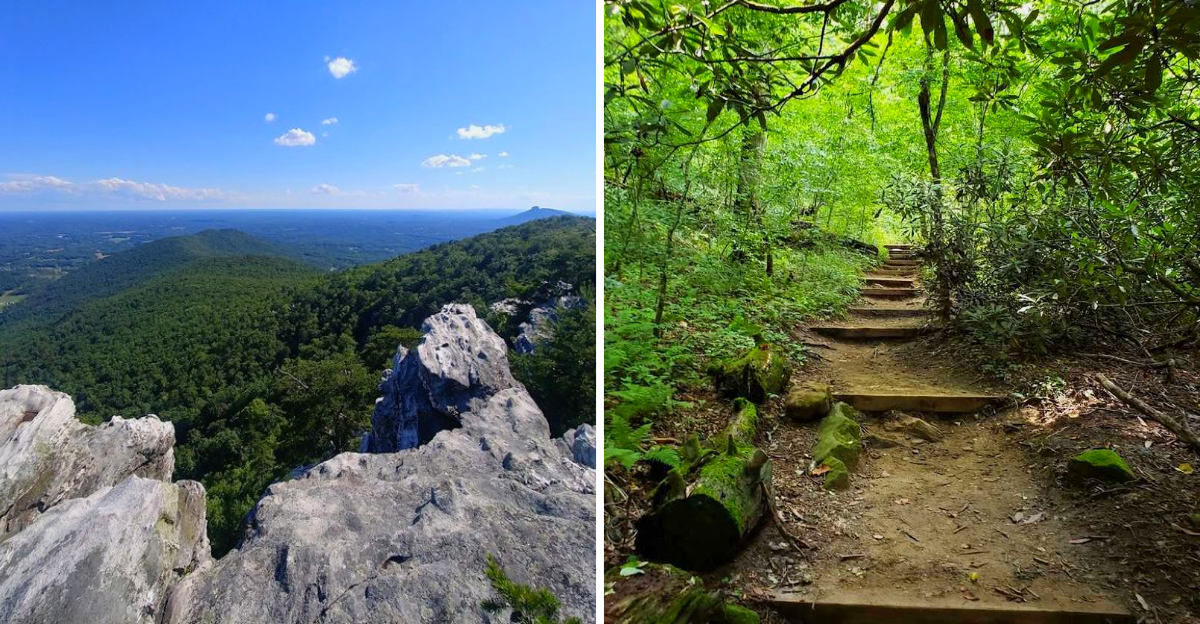 The 10 Best Trails In North Carolina For Your Next Outdoor Adventure - Decor Hint
