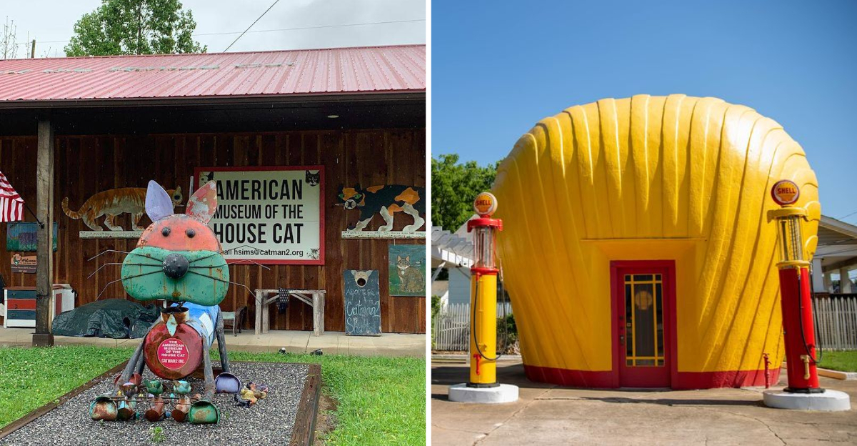 The 10 Quirkiest Roadside Attractions You Can Find In North Carolina - Decor Hint