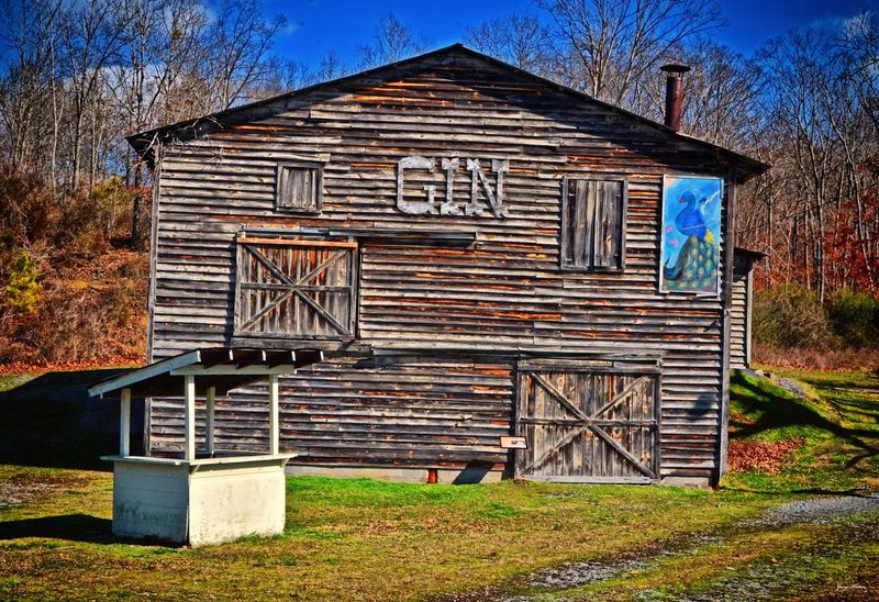 A Blacksmith Shop and Cotton Gin Round Out the Picture