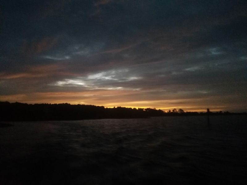 Wildlife And Natural Beauty Nearby