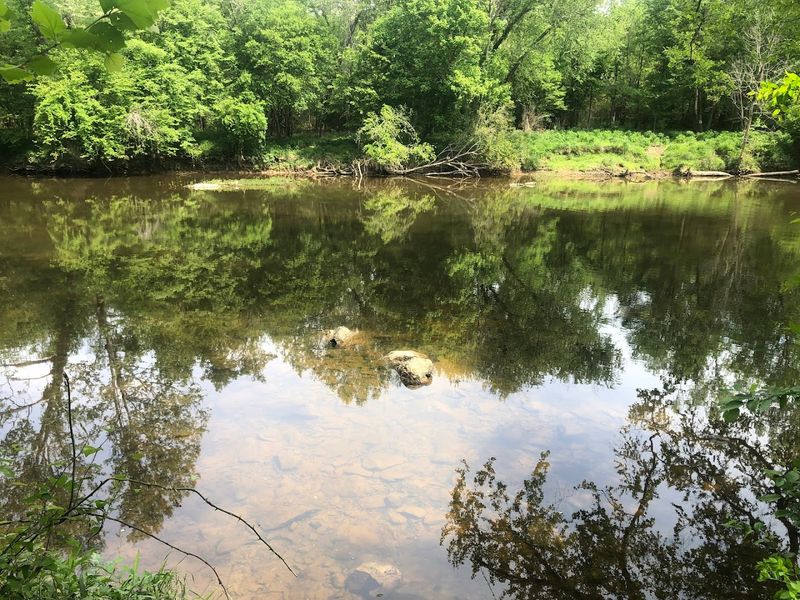 North Carolina’s Best Kept Mystery With The Ancient Pines And The Mermaid’s Secret - Decor Hint Decoding The Mystery Of The Hidden Valley