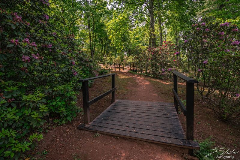 Open Every Single Day — True Accessibility