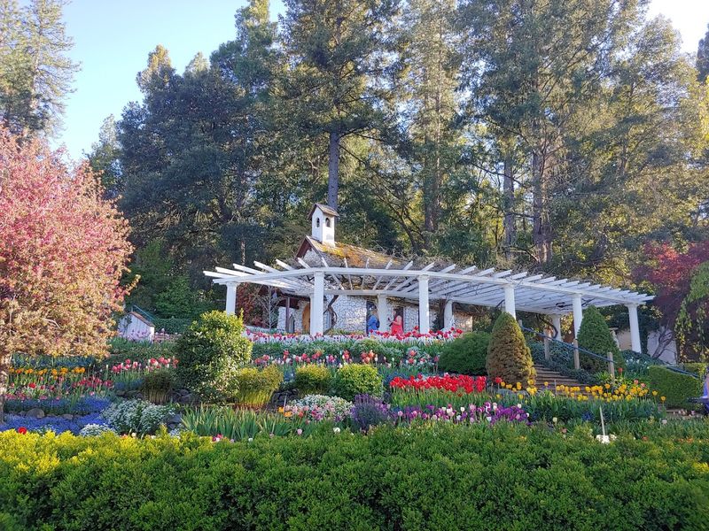 Hillside Terracing Creates A Rainbow Effect