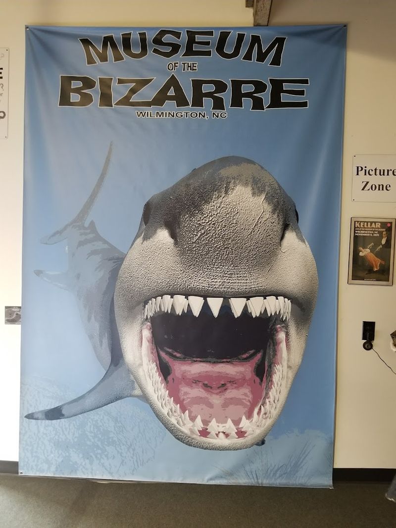 There Is Real Educational Value Hidden Behind The Weirdness