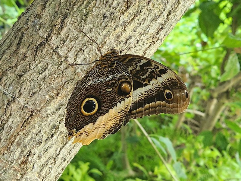 Conservation And Education Are Woven Into Every Animal Exhibit