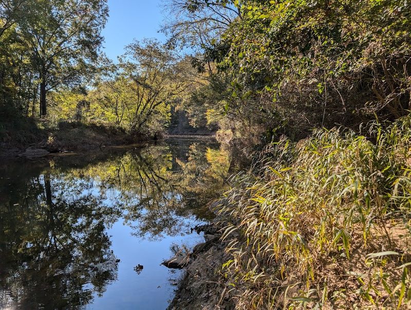 Wildlife And Birdwatching Opportunities