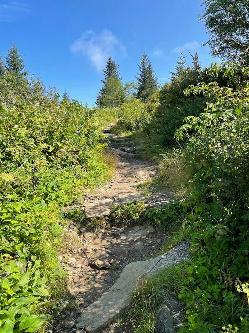 Wildlife And Nature Along The Way