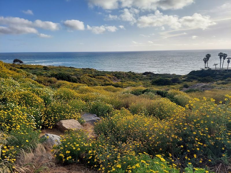 Parking and Getting There