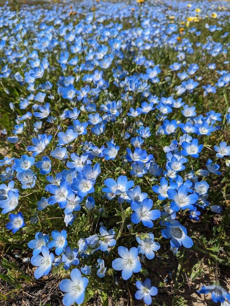 What To Realistically Expect On Any Given Visit