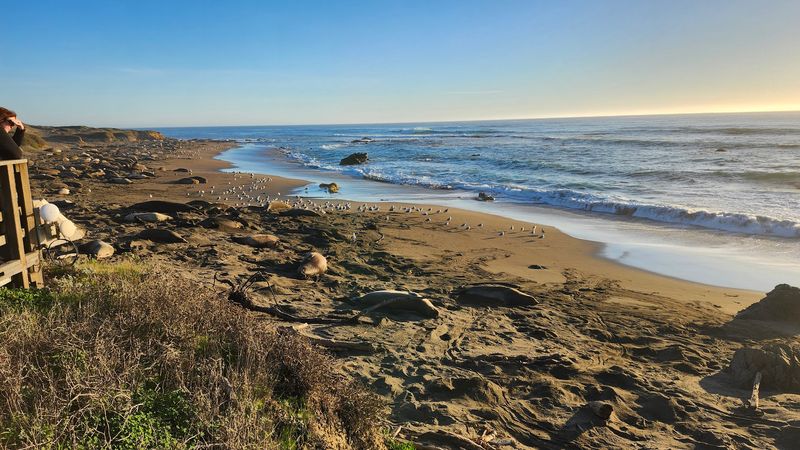 The Relaxed Pace And Close-Knit Community