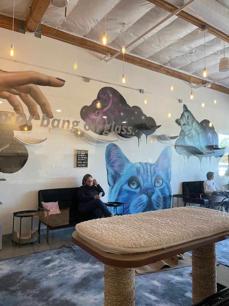 10 Cozy Cat Cafes In California Where You Can Relax With Adorable Felines - Decor Hint Cat & Craft