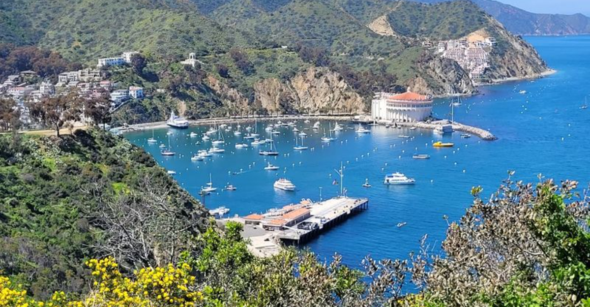 The Charming California Island Where Private Cars Are All But Banned - Decor Hint