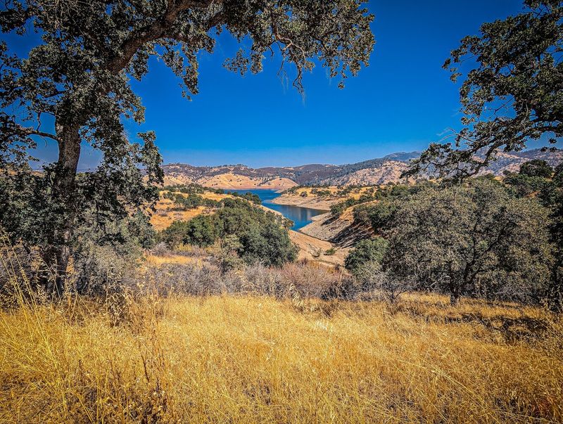 This Mountain Bike Park In La Grange, California Is A Spring Adventure Every Rider Should Try - Decor Hint Stunning Views Of Lake McClure