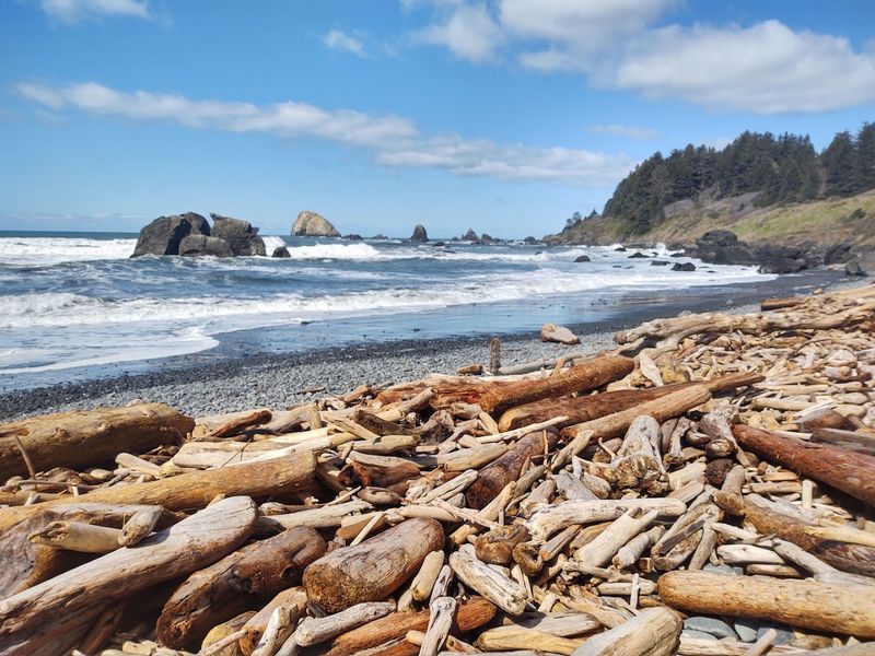 What The Beach Looks Like When Visitors Arrive