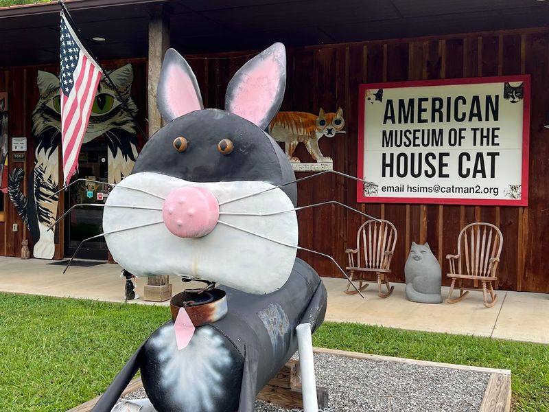 American Museum Of The House Cat 