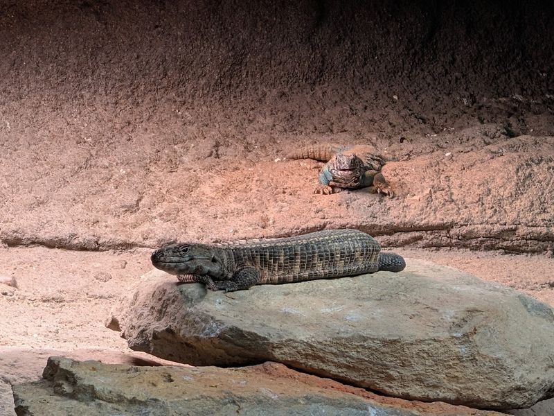 Scorching Temperatures Inside That Feel Wildly Out Of Place In NC