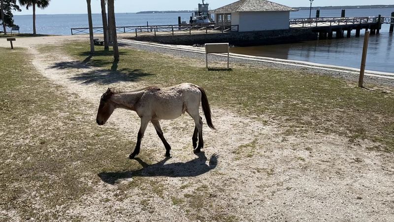 How To Get There From St Marys