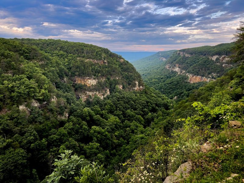 Panoramic Canyon Overlooks