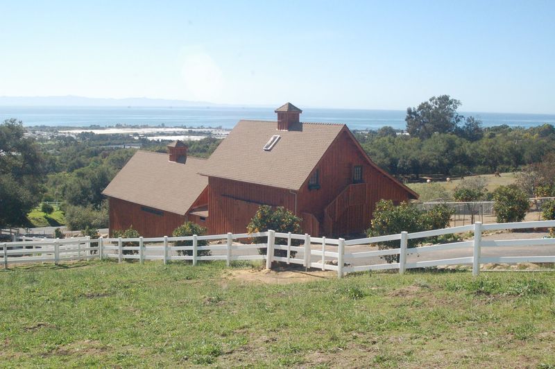 This California Farm Lets You Meet Adorable Alpacas And It's One Of The Most Fun Outdoor Experiences In The State - Decor Hint The Property Offers Stunning Views Of The Pacific Ocean