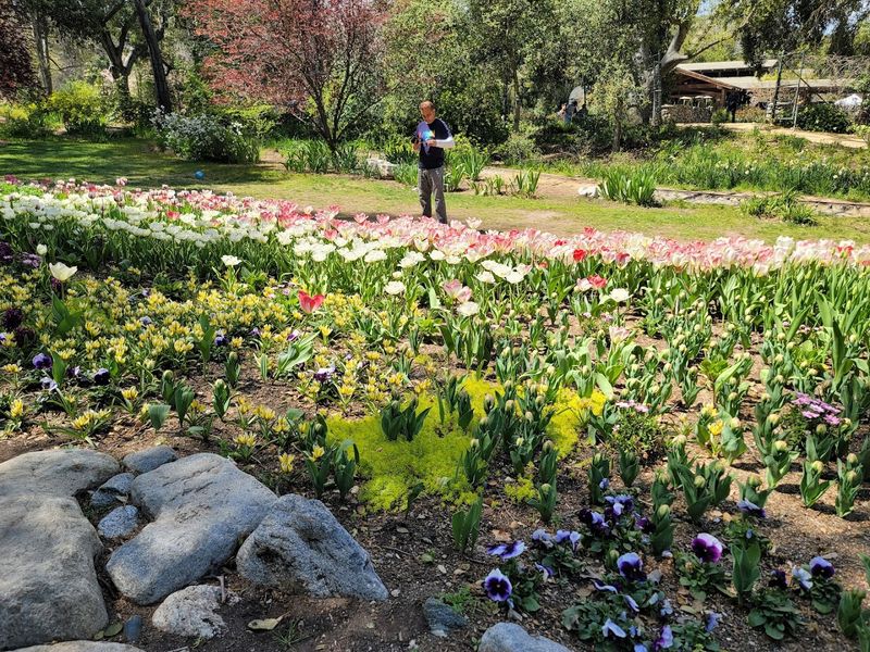 A Train Ride Adds A Fun Element For Families