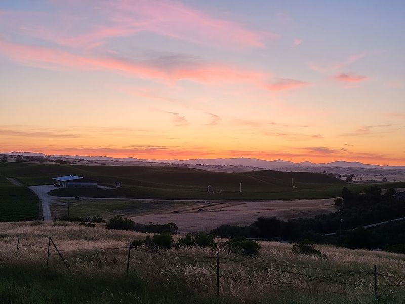 Named Business Of The Year By SLO County Farm Bureau In 2024