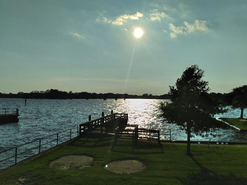 Seven Years In A Crawl Space