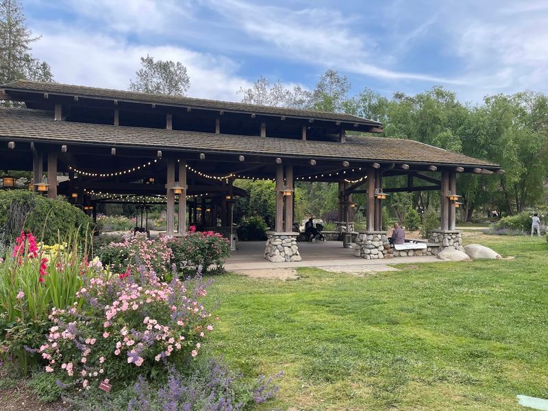 Over 35,000 Tulip Bulbs Are Planted Every January